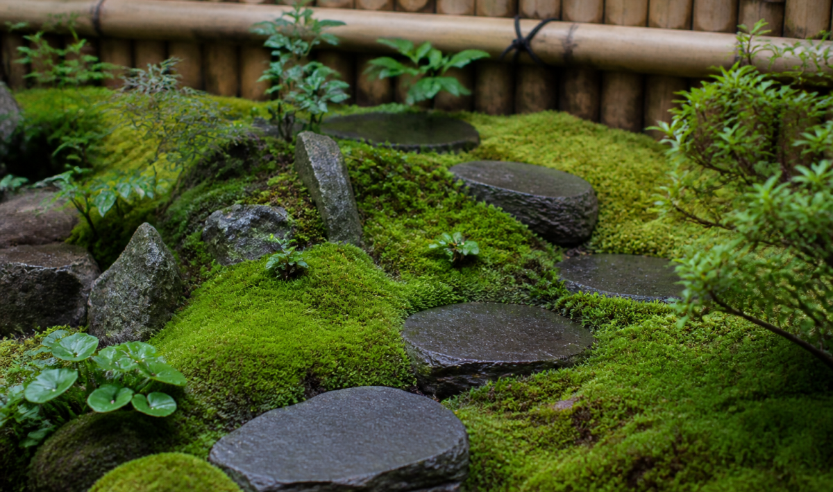 miniature jardin japonais avec mousse verte et pierres plates